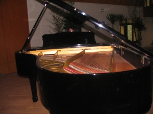 The Grand Piano